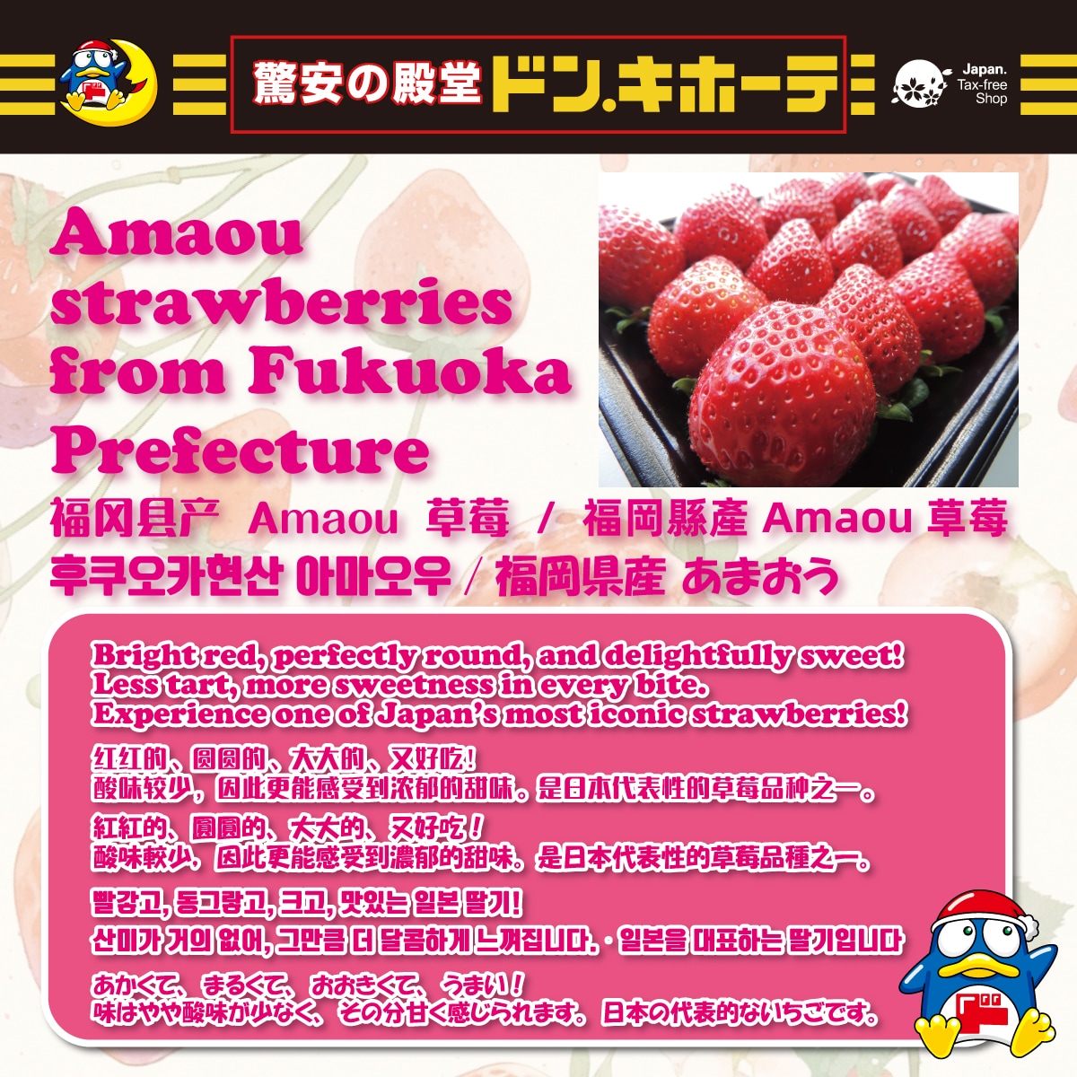 日本産いちご 試食イベント 中州店