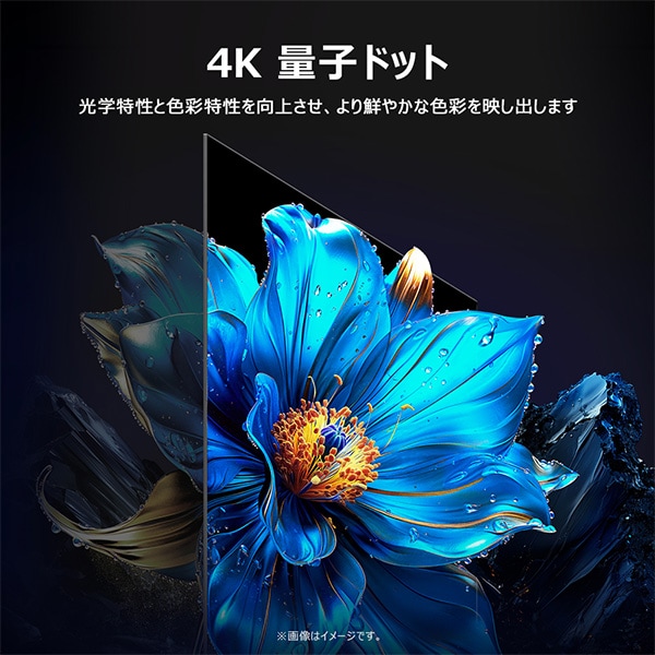 情熱価格&times;TCL QLED 75型4Kスマート液晶テレビ
